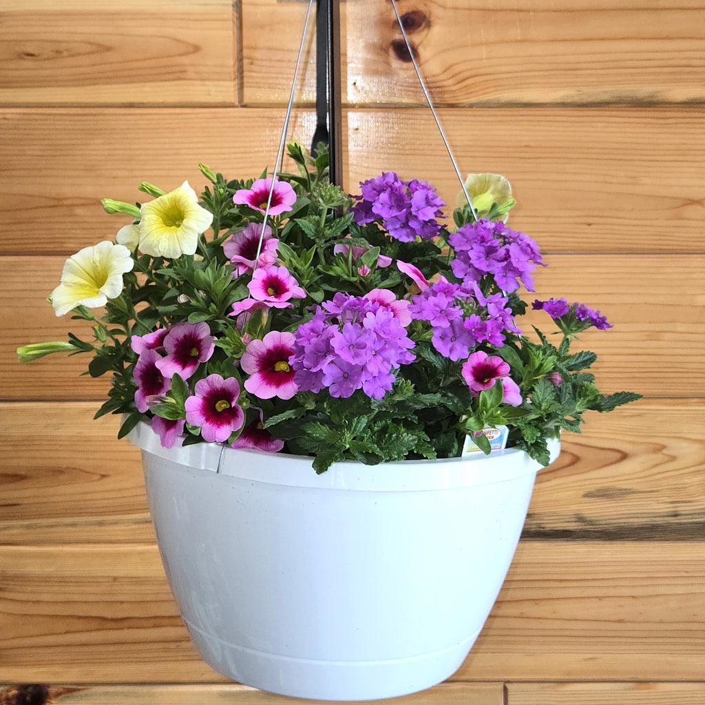 Combination Basket - Yellow, Pink, and Blue