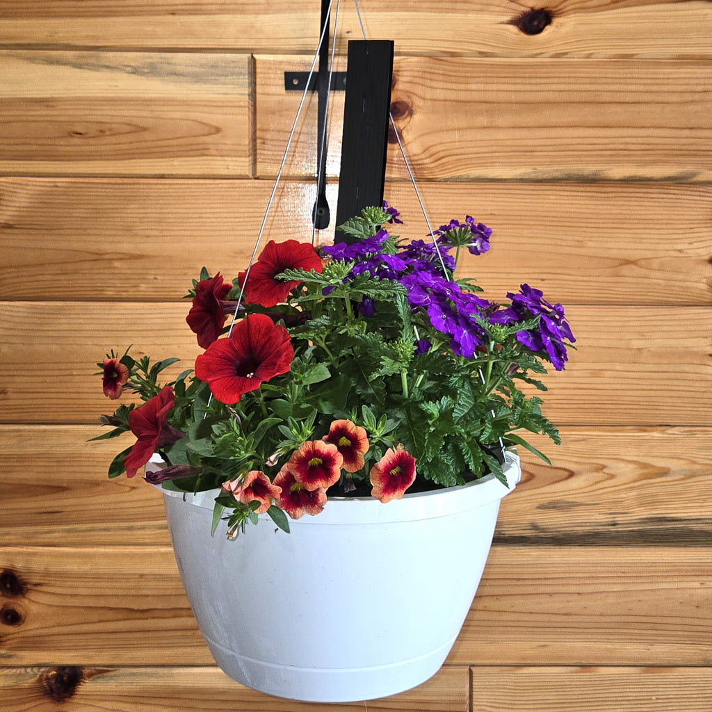 Combination Basket - Red, Orange, and Violet