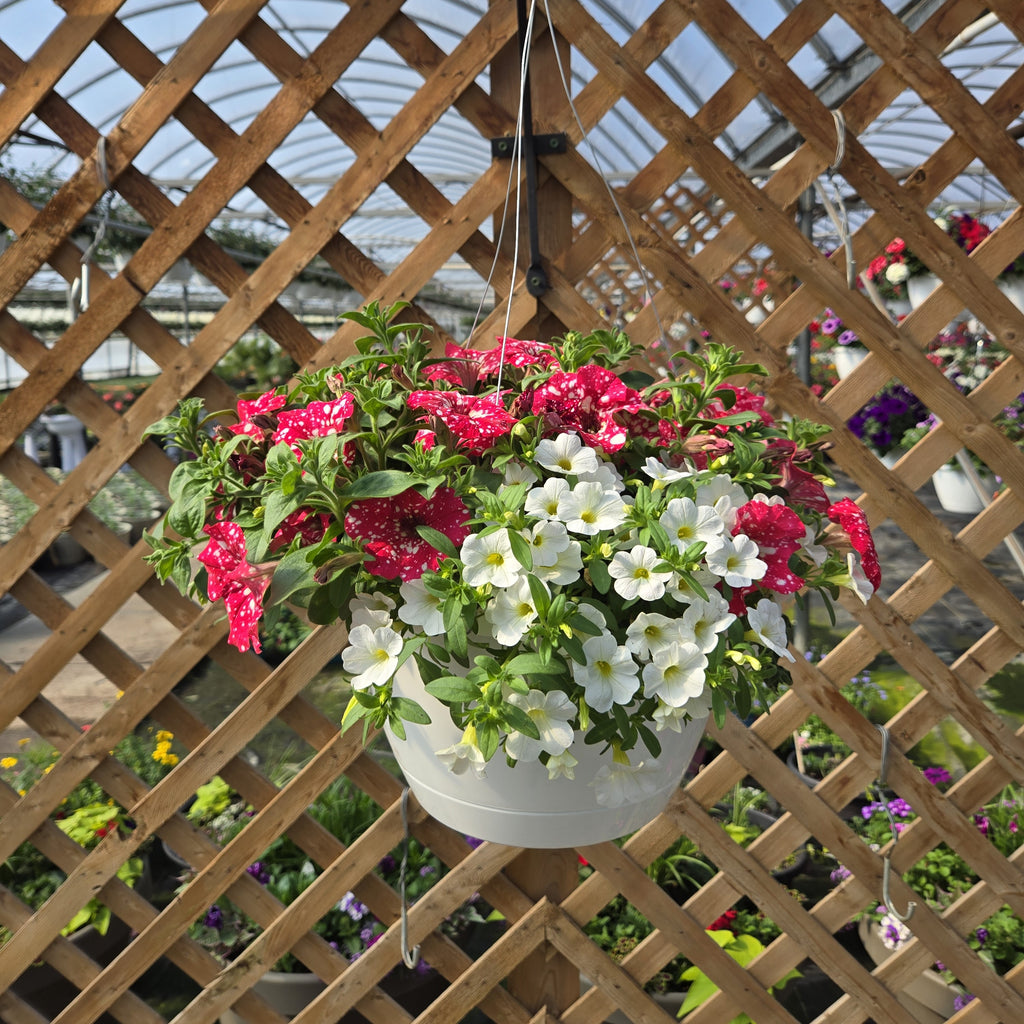 Combination Basket - White and Red