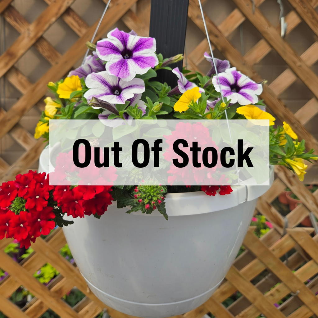 Combination Basket - Confetti Garden Playdate