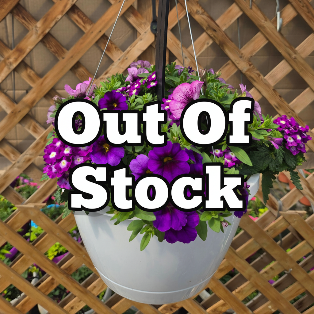 Combination Basket - Confetti Garden Purple Cleopatra