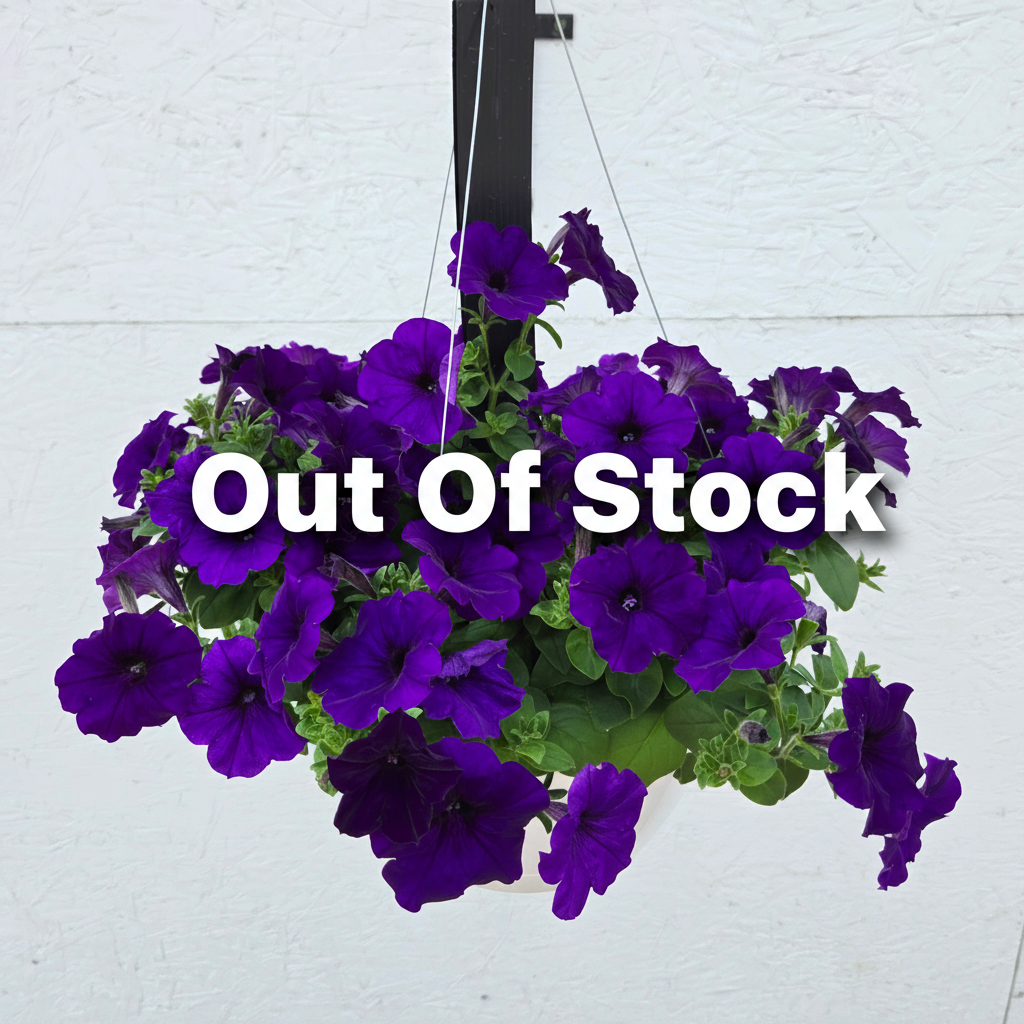 Wave Petunia Easy Wave Blue