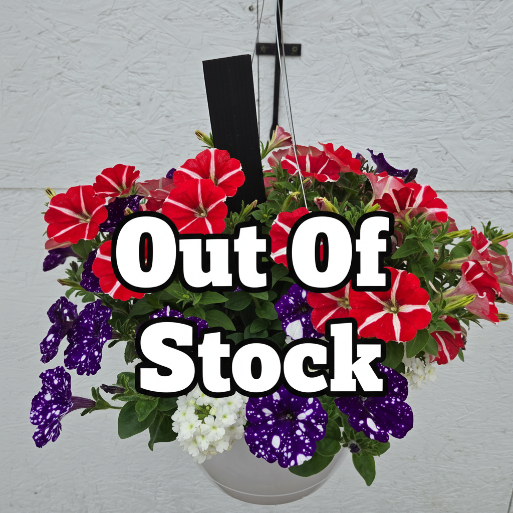 Combination Basket - Confetti Garden Stars and Stripes Glory
